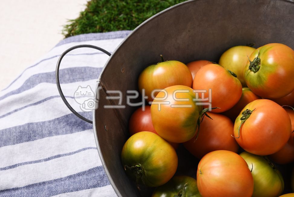 Tomato Dishes,fruit,tomato,vegetable,food
