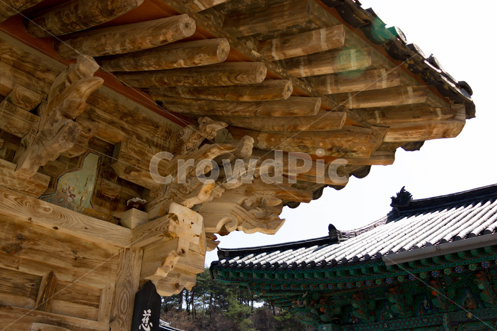절,전통,한국적,기와,지붕,나무,목조,건축물,처마,temple,traditional,roof,한국전통,한국문화,korean traditional,korean culture,건축물,건물외관,exterior,building,structure,architecture,construction