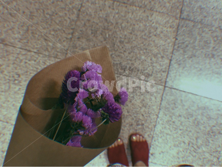 꽃,꽃다발,꽃꽂이,발,샌들,식물,plant,식물,자연,plants,nature,꽃,flower