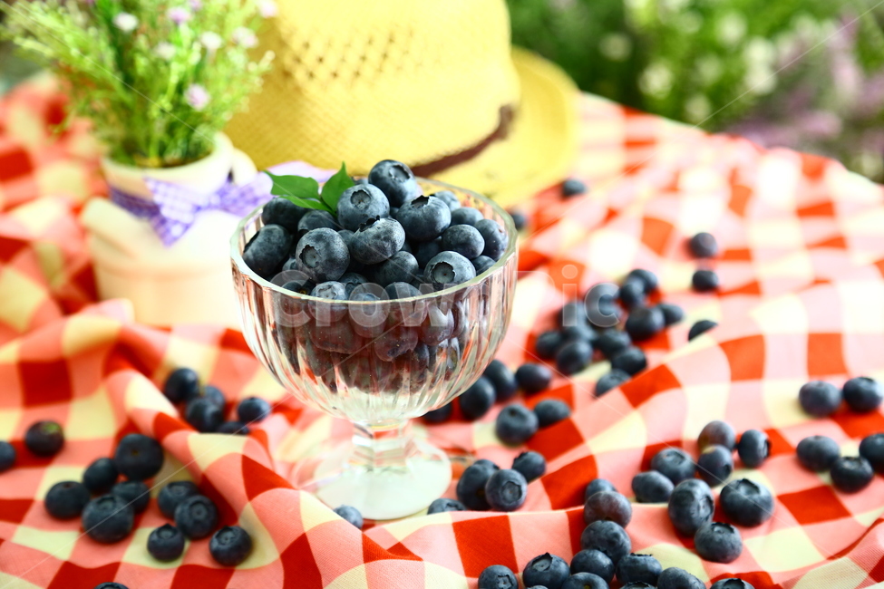 블루베리,베리,과일,blueberry,berry,fruit,food,sweet,fresh,음식,식재료,요리,food,cook,meal,dishes,food reserves,과일,열매,fruit