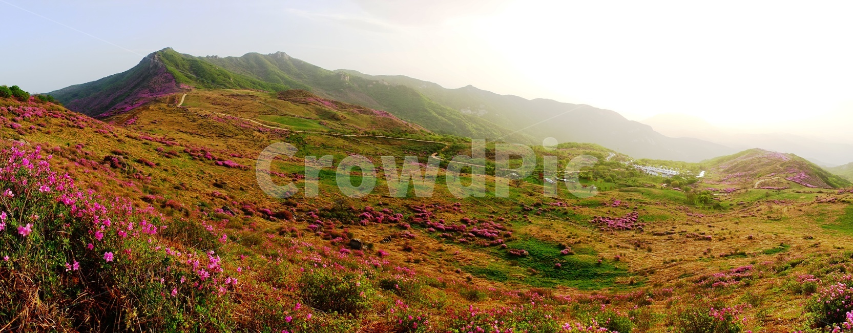 황매산,철쭉,봄,꽃동산,합천,봄,계절,spring,season,자연,풍경,nature,landscape,plateau,고원,outdoors,옥외,land,땅,tundra,동토대