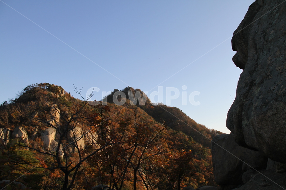 자연,산,등산,가을,경치