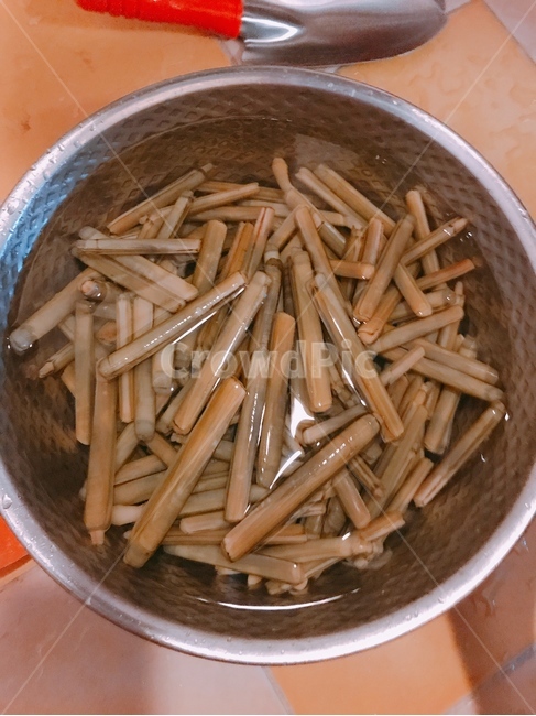 맛조개,조개,체집,갯벌,음식,수산물,해산물,fishery products,seafood