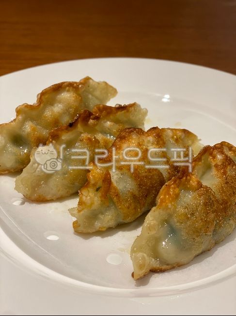 dumpling,Grilled dumplings,Fried dim sum,Chinese food,Pork Dim Sum