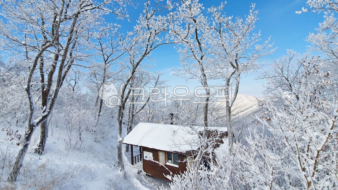 겨울,상고대,서리꽃,자연,설경,풍경,눈꽃,눈,눈보라,바람,겨울왕국,파란하늘,산,나뭇가지,겨울나무,민주지산,겨울산,배경,계절,winter,season,nature,landscape,snow,겨울,계절,winter,season