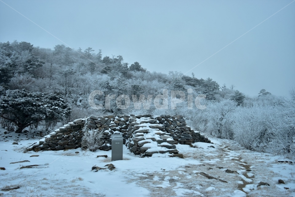 태백산,설경,상고대,눈꽃,풍경,겨울,겨울왕국,서리꽃,눈,천제단,자연,스포츠,등산,산행,nature,snow,설국,겨울풍경,느낌,아름다운,신비로운,경이로운,다큐,필,디자인,힐링,명산,국립공원,순백,landscape,winter,season,영산,겨울,계절,winter,season,자연,풍경,nature,landscape,한국자연풍경,한국자연경관,korea nature landscape,ice,얼음,outdoors,옥외,fir,전나무,plant,식물,tree,나무,abies,아비