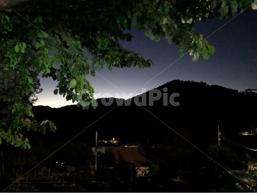 풍경,귀래,원주,밤,야경,자연,풍경,nature,landscape,시골,마을,country,rural,town,야경,밤,nightscape,night,outdoors,옥외,tree,나무,plant,식물