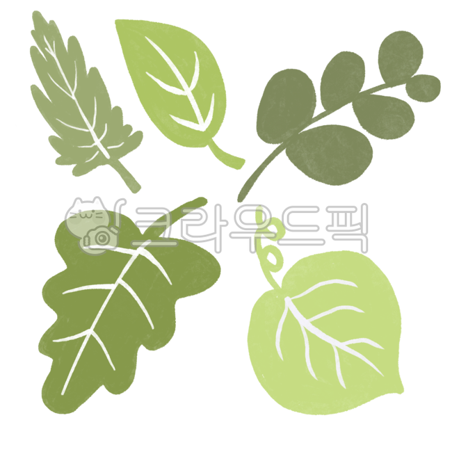 leaf,잎,plant,식물,green,녹색,풀,이파리,잎파리,줄기,초록,그림,일러스트,나뭇잎,손그림,풀잎