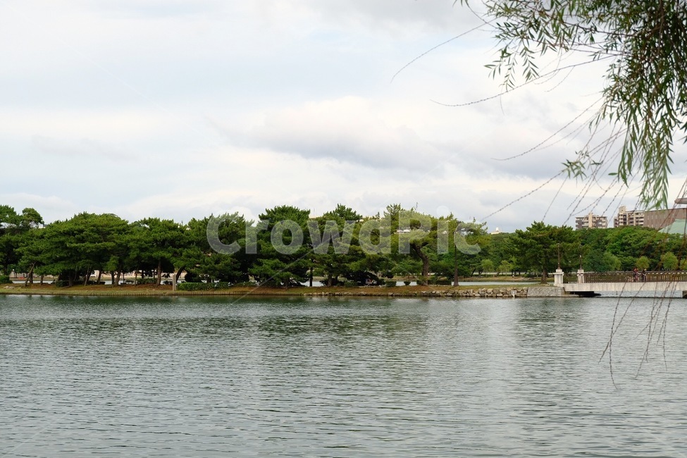 park lake,Ohori Koen,japan,lake park,Ohori Park,Fukuoka,lake