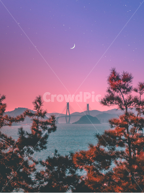 바다,노을,감성사진,배경화면,바다노을,야경,밤,풍경,nightscape,night,landscape,색깔,색상,색채,색감,color sense,color sensitivity,feeling of color,nature,자연,outdoors,옥외,land,땅,tree,나무,plant,식물,water,물,shoreline,해안선