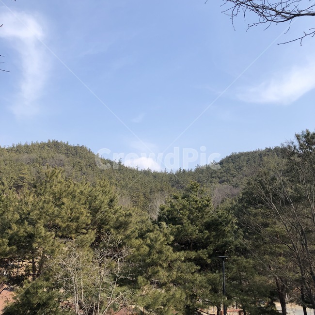 자연,nature,outdoors,나무,하늘,산