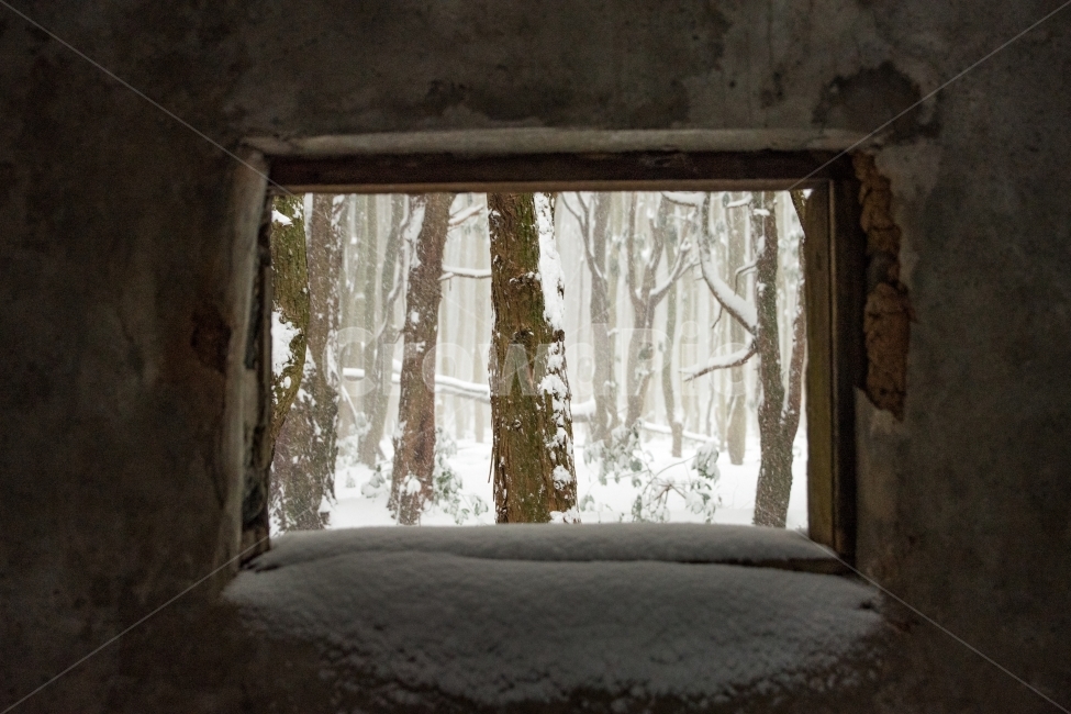 창문,풍경,눈,겨울,겨울풍경,겨울,계절,winter,season