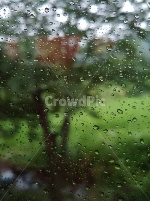 비,rain,window,감성,자연,nature