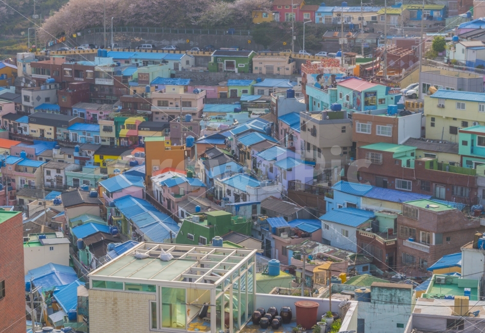 컬러,감천마을,색,집,부산,도시,풍경,city,landscape,nature,자연,outdoors,옥외,경치,scenery