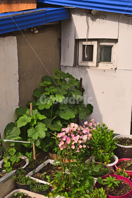 달동네,재개발,가난,빈민촌,판자촌,소외,마을,집,하우스,초라한,poor,poorhillsidevillage,낡은,anoldhouse,old,오래된,세월