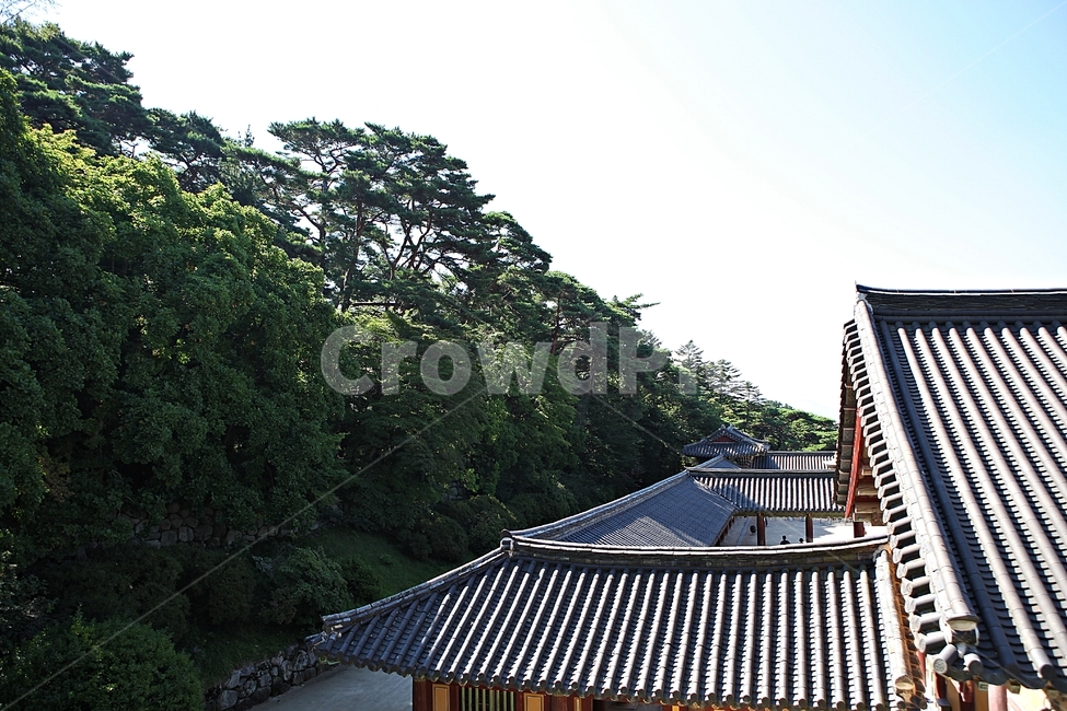 불국사,경주,절,사찰,국보,보물,한옥,기와집,전통