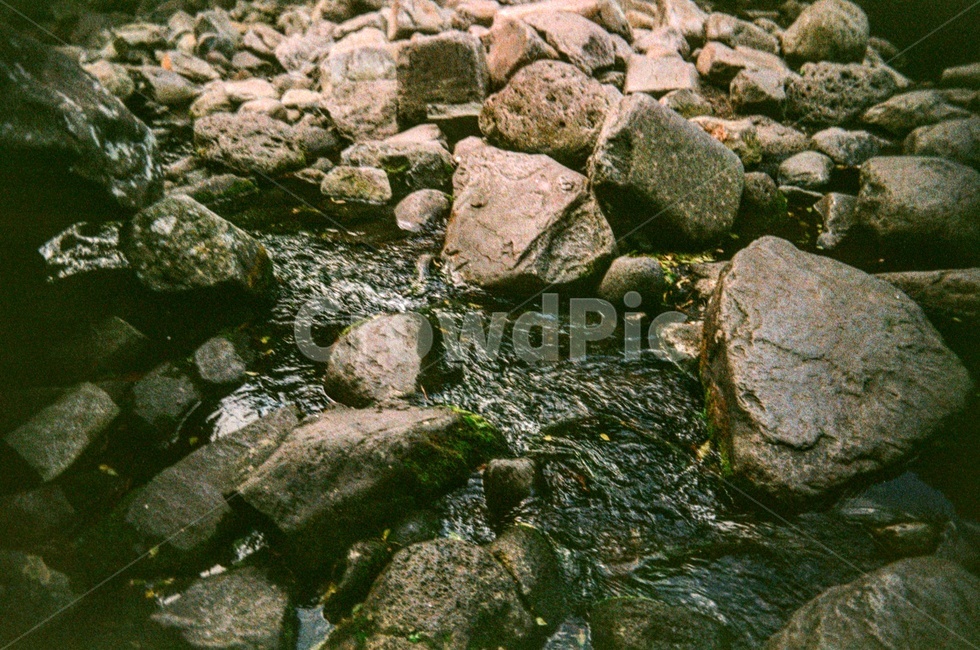 제주도,rock,계곡,바위,자연,nature,outdoors,필름사진,자연,풍경,nature,landscape,록