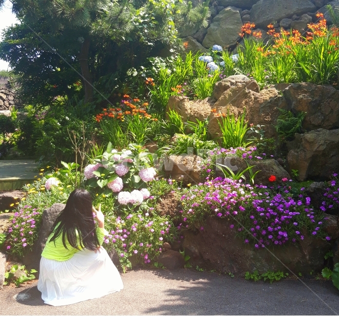롱스커트,정원,풀꽃,여자뒷모습,여자,봄,계절,spring,season,사람,인물,인간,human,person,여성,여자,woman,female,lady,outdoors,옥외
