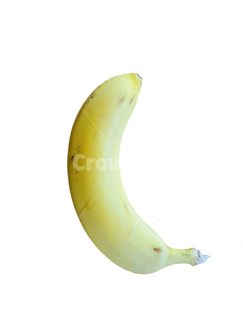 banana,바나나,누끼,fruit,과일,food,식품,plant,식물,과일,열매,fruit,누끼,remove background