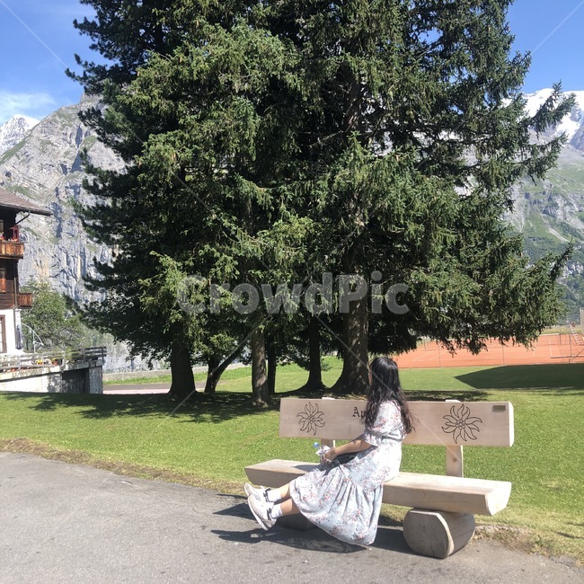 person,사람,나무,tree,인간,정자,스위스,유럽,인터라켄,뮤렌,옆모습,여자,정자나무,사람,인물,인간,human,person,여성,여자,woman,female,lady