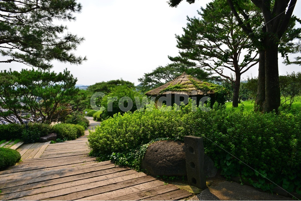 자연,nature,outdoors,옥외,scenery,풍경,landscape,경치,경기,안성,서일농원,garden,정원,plant,식물,grass,잔디,tree,나무,treetrunk,나무줄기,정자,계단,길,boardwalk,산책로
