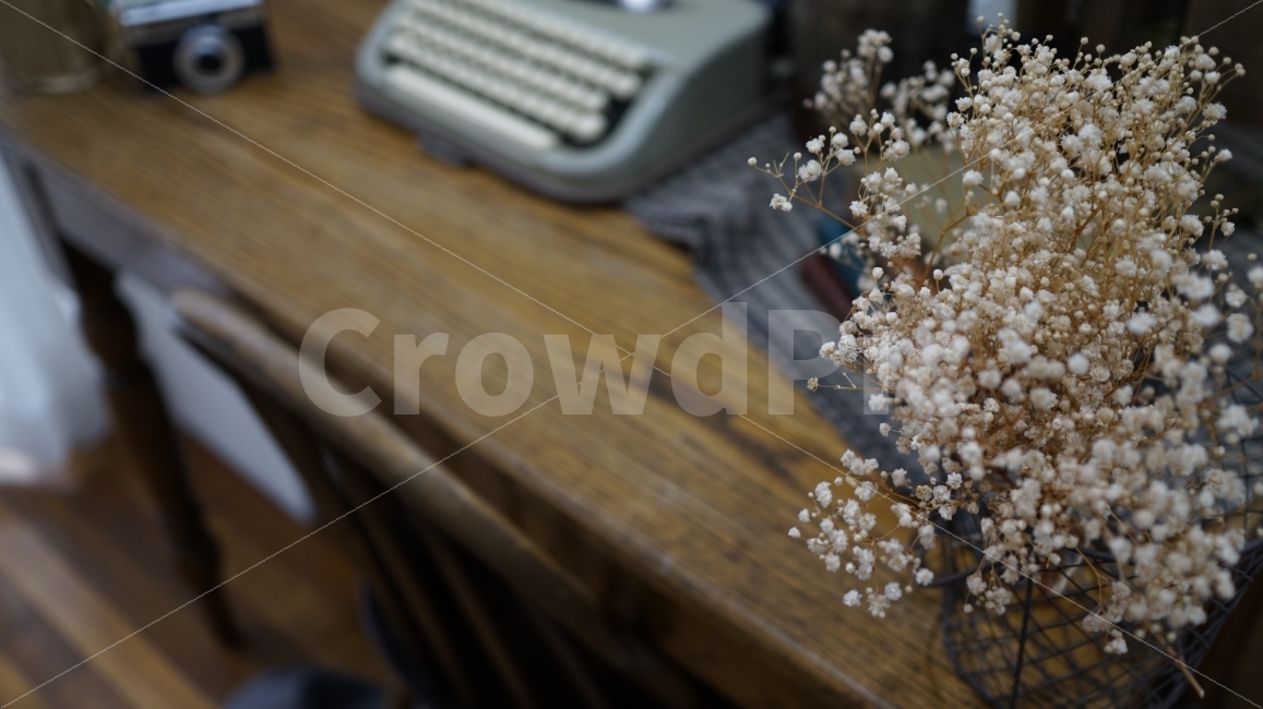 인테리어,소품,꽃,드라이플라워,안개꽃,타자기,카메라,감성,인테리어,실내디자인,interior design