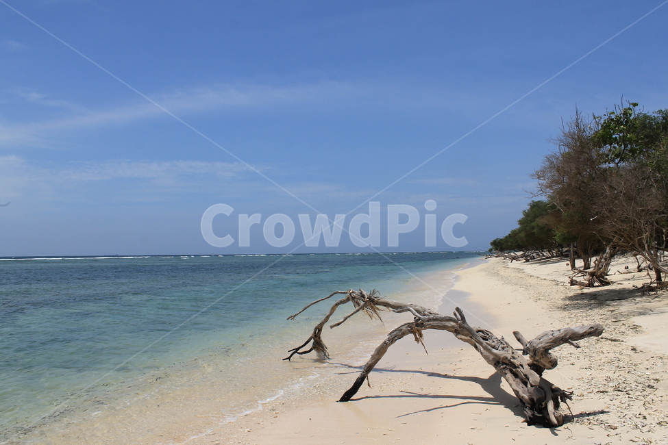 인도네시아,길리,해변,나무해변,나무,indonesia,gili,beach,treeandbeach,treeonthebeach,vacation,고즈넉