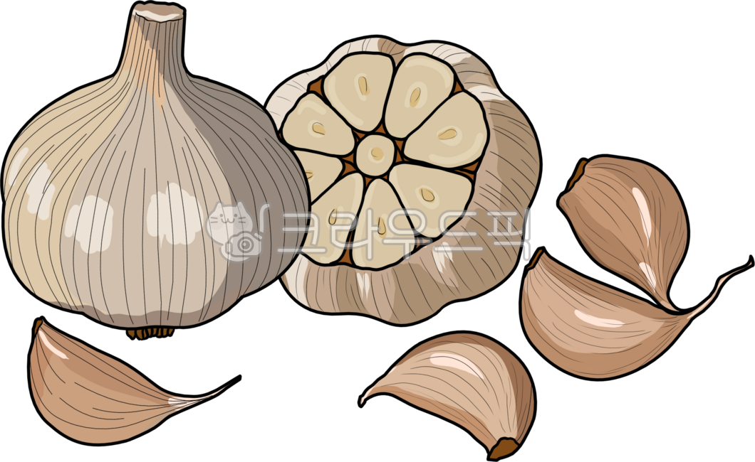 Vegetable line,vegetable line drawing,line drawing,vegetables,vegetables,vegetables,fresh,store,vegetable store,ingredients