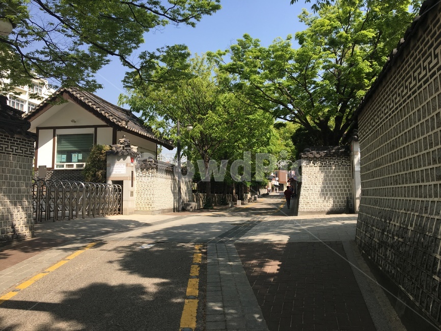골목,골목길,풍경,길,나무,골목길,alley,asphalt,아스팔트,road,도로,flagstone,판석