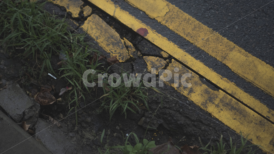 asphalt,아스팔트,도로,풀,비오는날,감성사진,타맥,tarmac,도로위풀,깨진,노란색,녹색,인도,차도,풀잎,감성적인,외로움,쓸쓸함,고독,배경화면,wallpaper