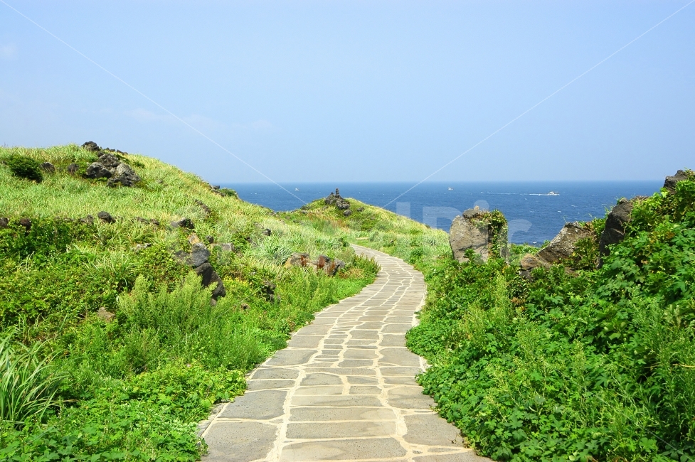 길,산책,산책로,산책길,바다,제주,제주도,풍경,수풀,식물,자연,여행,자연,풍경,nature,landscape,제주도,jeju,jeju island,outdoors,옥외,path,통로,grassland,목초지,field,들