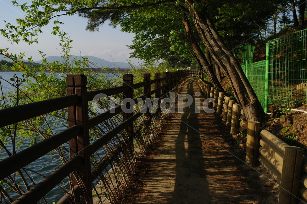 포천,해짙녁,저수지,항공샷,산책,고모저수지,자연,풍경,nature,landscape,handrail,난간,banister,boardwalk,산책로,bridge,다리,building,건물