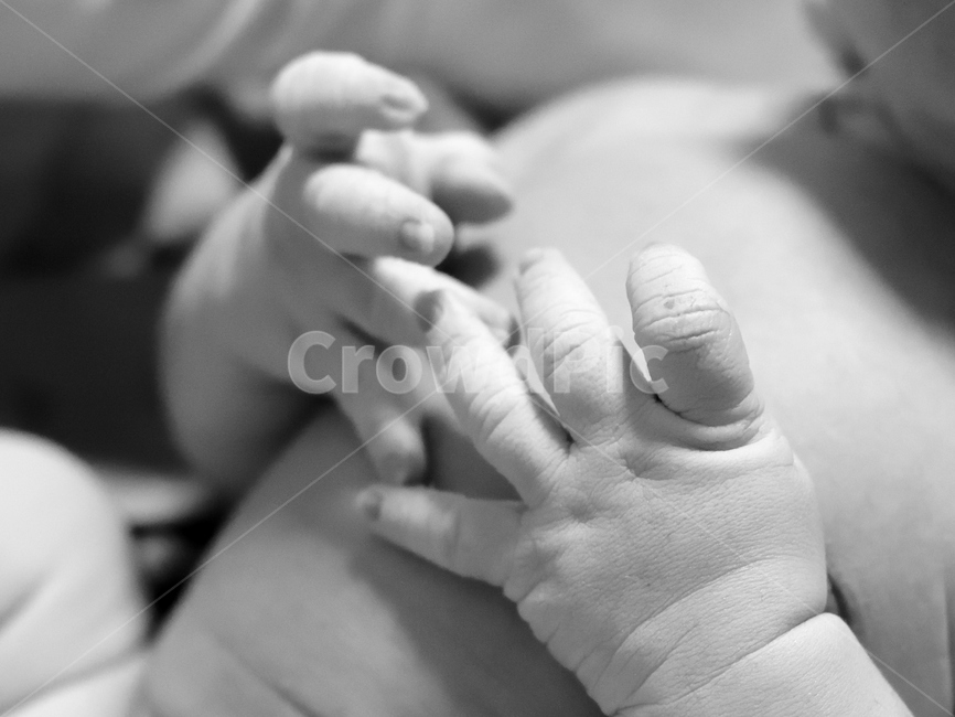 신생아,아기,아기손,손가락,finger,출산,탄생,흑백산진,산부인과,사람,인물,인간,human,person,영유아,아기,애기,아이,infants,baby,흑백,모노톤,monochrome,black and white