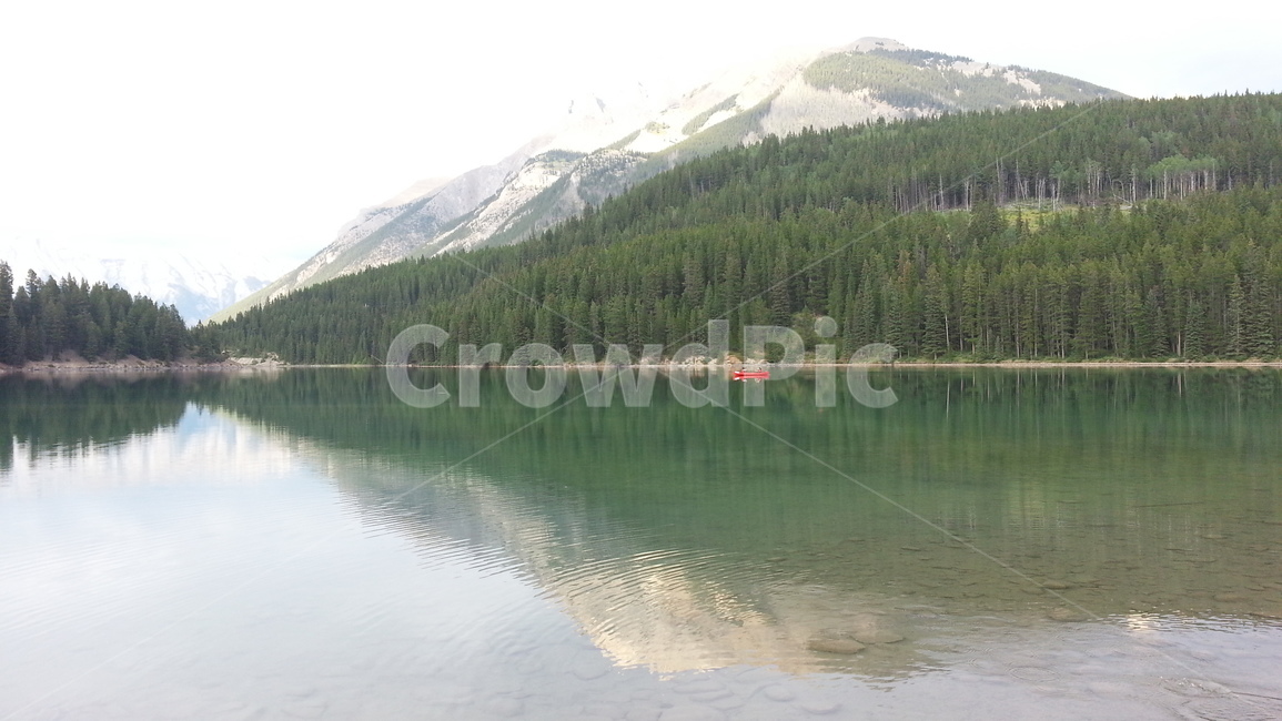 호수,산,자연,풍경,나무,tree,lake,mountain,background,scenery,휴식,공원,힐링,산책,healing,rest,park,nature,hiking