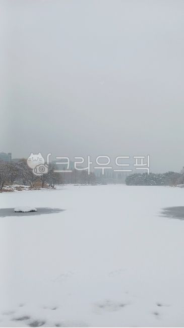 눈,설경,겨울,얼음,겨울풍경,함박눈,snow,snowscape,winter,ice,호수,일산호수공원,자연,옥외,눈보라,nature,outdoor,blizzard