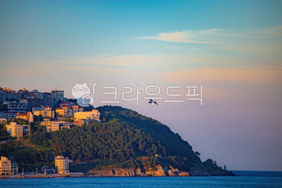 sky,blue sky,town,city,housing,house,building,sea,Dalmaji Hill,Coast,urban,ocean,sunset,bird