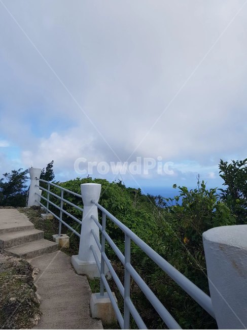 다리,자연,하늘,나무,흔들다리,자연,풍경,nature,landscape,banister,난간,handrail,railing