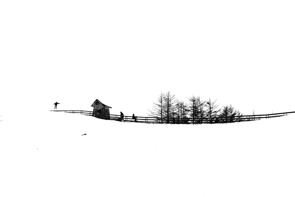 겨울,언덕,나무,눈,모노톤,오두막,겨울,계절,winter,season,자연,풍경,nature,landscape,흑백,모노톤,monochrome,black and white