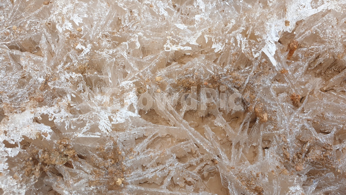 ice,빙,nature,자연,눈꽃,얼음,겨울,계절,winter,season