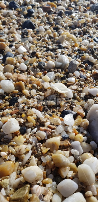 해변,조약돌,바닷가,바다,조개,해변,바다,beach,sea