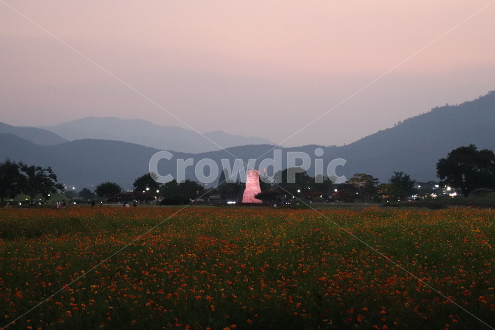 경주,꽃밭,첨성대,빛,조명,light,flower,garden,한국전통,한국문화,korean traditional,korean culture,랜드마크,landmark,tourist attraction,한국랜드마크,한국관광지,한국명소,korea landmark,korea tourist attraction