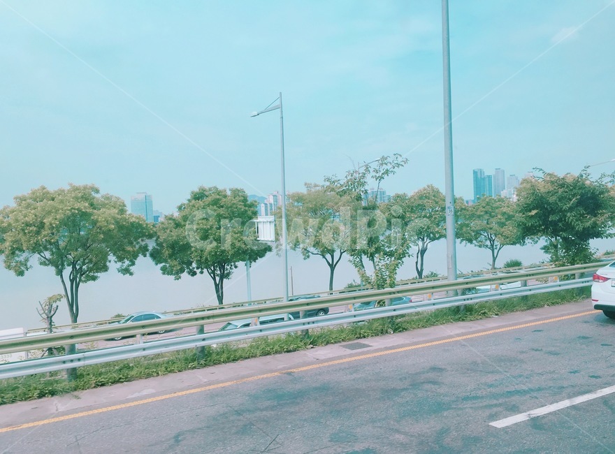 도로,하늘,나무,풍경,호수,푸른하늘,맑은하늘,푸른나무