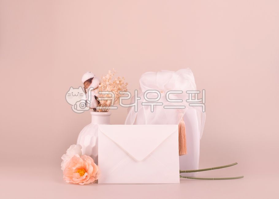 studio,gift,Gypsophila,concept,cotton,vase,inside,holiday,Thanksgiving,theocracy,Production,season,tradition,norigae,bundle,new year,shopping,Lunar New Year,Gift wrap,edit,packaging,flower,background,letter,object