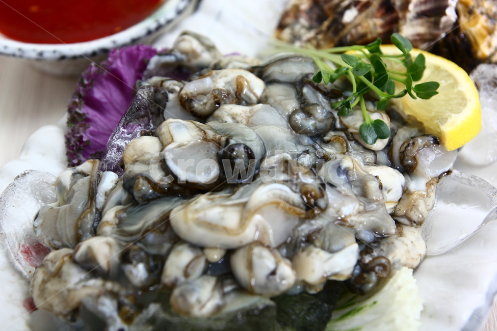 석화,굴,생굴,해산물,조개,신선,싱싱,음식,식품,dish,oysters,seafood,shellfish,fresh,crispy,food,음식,식재료,요리,food,cook,meal,dishes,food reserves,수산물,해산물,fishery products,seafood