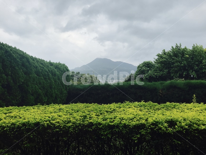 대만,taiwan,초록,산,푸름,자연,풍경,nature,landscape,outdoors,옥외,grassland,목초지,field,들,farm,농장,rural,농촌