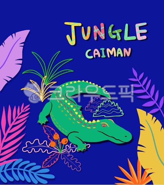 트로피칼,정글,카이만,카이만악어,악어,정글악어,크로커다일,열대,열대잎,잎,나뭇잎,야자수,tropical,caiman,jungle,crocodile,엘리게이터,alligator,악어일러스트,정글일러스트,정글동물,열대일러스트,트로피칼일러스트,동물,animal,알록달록,colorful,pink,green,nature,자연,핑크,초록,노랑,yellow,디자인,포스터,design,poster,그래픽,graphic,식물,plant,바나나잎,bananaleaf,leaf,leaves,열대우림,rainforest,브로슈어,배너,banner