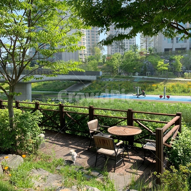 풍경,힐링,자연,벤치,강아지,햇빛,나무,풀,초록색,의자,테이블,산책,낮