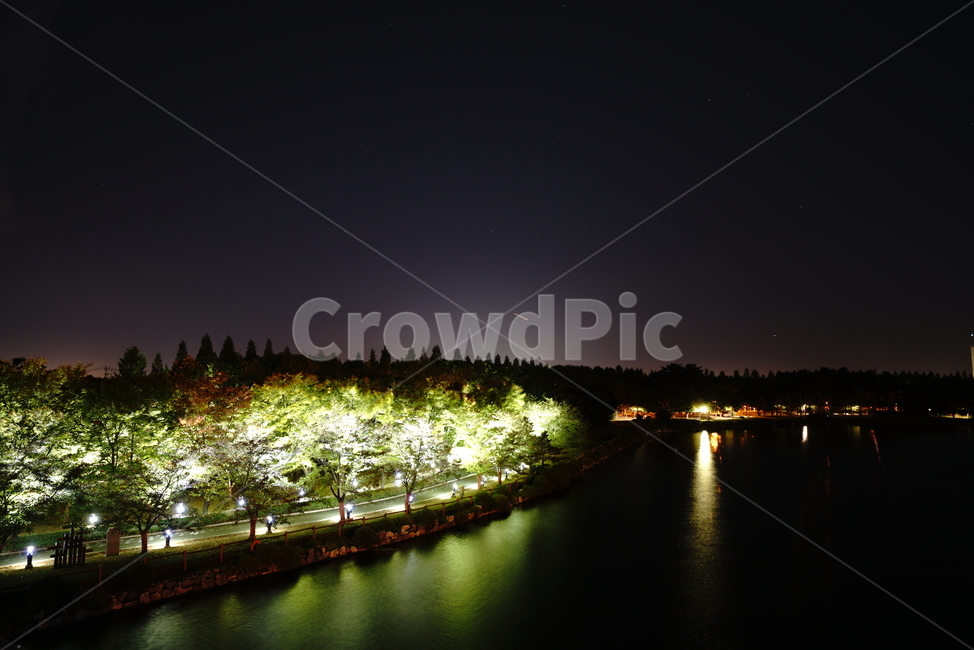 호수공원,야경,호수,풍경,자연,밤,산책,호숫가,일산,호공,야경,밤,풍경,nightscape,night,landscape,outdoors,옥외,nature,water,물