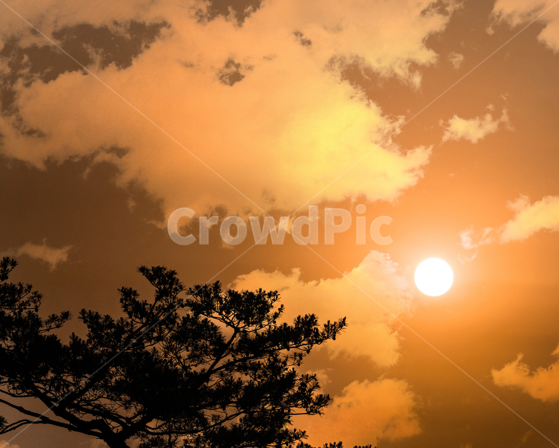 하늘,구름,색감,풍경,풍경사진,해질녘,노을,저녁,light,빛,flare,플레어,sunlight,옥외,outdoors,자연,nature,햇빛,자연,풍경,nature,landscape