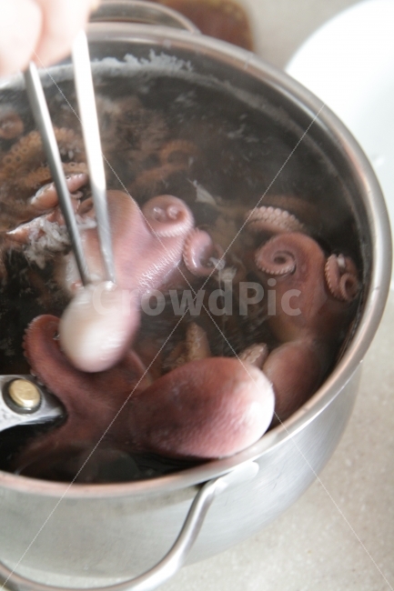 쭈꾸미,제철음식,해산물,씨푸드,저녁식사,음식,식재료,요리,food,cook,meal,dishes,food reserves,수산물,해산물,fishery products,seafood